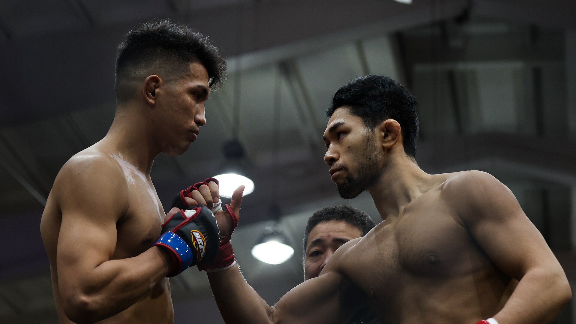 UFC 329 Full Fight Card: Who is Fighting?
